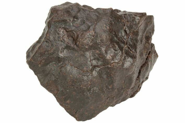 Chondrite Meteorite ( g) - Western Sahara Desert #222386
